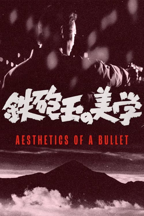Aesthetics of a Bullet